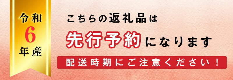 【ふるさと納税】《ご家庭用》シャインマスカットとお任せ1品種 ぶどう 詰合せ セット 計2房（計1kg）【2024年9月中旬頃～10月下旬頃発送予定】山形産 ／ ご自宅向け SDGs フードロス 農家直送 2024年産 令和6年産 山形県産 産地直送 果物 フルーツ 葡萄 果汁 東北 1キロ