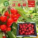 【ふるさと納税】こだわり農家の 新鮮 さくらんぼ 選べる 500g 1kg Lサイズ秀品「佐藤錦」 生産者直送 【2025年5月下旬頃〜6月中旬頃発送予定】/ ...