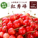 【ふるさと納税】こだわり農家の新鮮 さくらんぼ 500g 2Lサイズ秀品「紅秀峰」 生産者直送 【2025年6月中旬頃〜6月下旬頃】/ 2025年産 令和7年産...