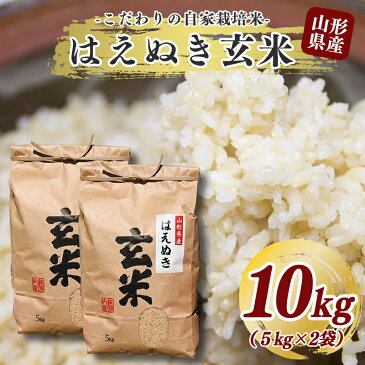 【ふるさと納税】玄米 10kg 【新米】 「はえぬき」（5kg×2袋） 【2022年10月頃より発送予定】沖縄・離島可 ／ 2022年産 令和4年産 山形県産 お取り寄せ 小分け 便利 農家直送 産地直送 SDGs 有機質肥料 減農薬栽培 東北 5キロ 10キロ ふるさと納税 はえぬき