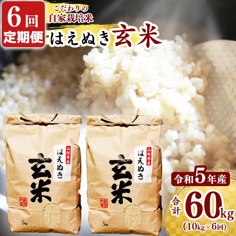 【ふるさと納税】《スタート選べる 6回定期便》 玄米 合計60kg はえぬき 10kg（5kg×2袋）× 6回 【 2023年産 令和5年産 新米 】山形県産 ＜先行予約＞ ／ 小分け 便利 農家直送 ごはん 東北 5キロ 10キロ 60キロ 6か月 6ヵ月 6ヶ月 6カ月 6ケ月 半年 ふるさと納税 玄米のサムネイル