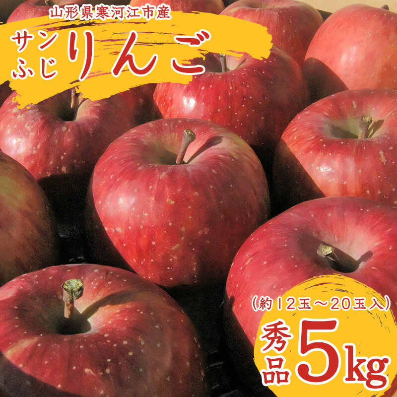 【ふるさと納税】こだわり農家の 有機質肥料栽培 りんご 5kg 秀品 「サンふじ」（12～20玉） 【2024年...