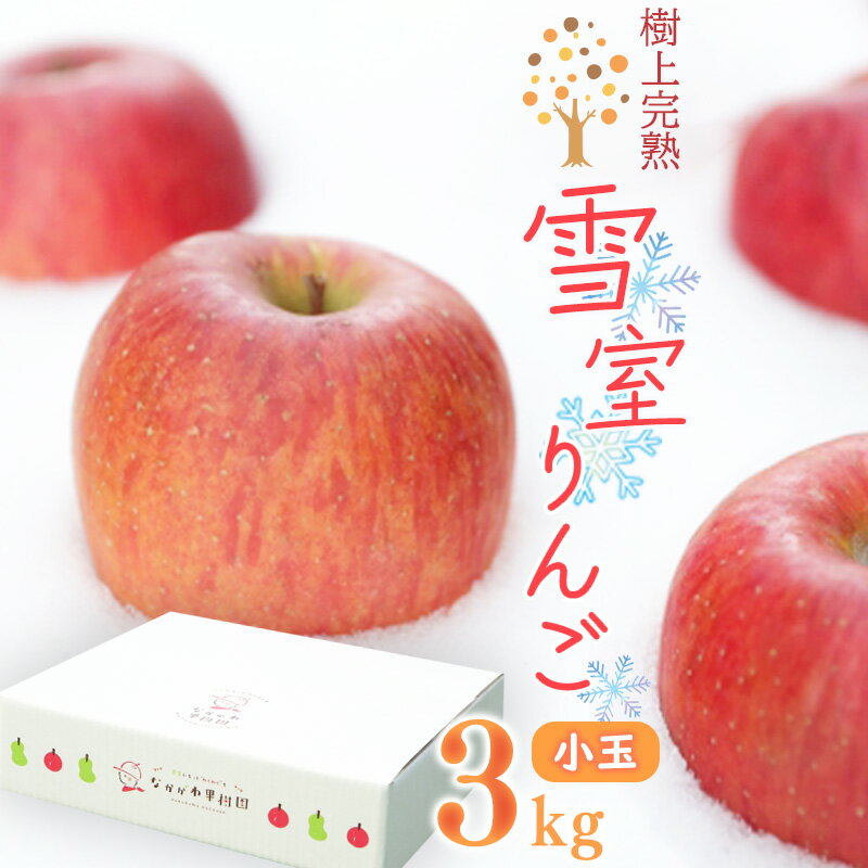 13位! 口コミ数「0件」評価「0」雪室りんご 3kg「樹上完熟 ふじりんご」 小玉サイズ 山形産 【2025年1月下旬頃～3月初旬頃 発送予定】／ お取り寄せ ご当地 特産 ･･･ 