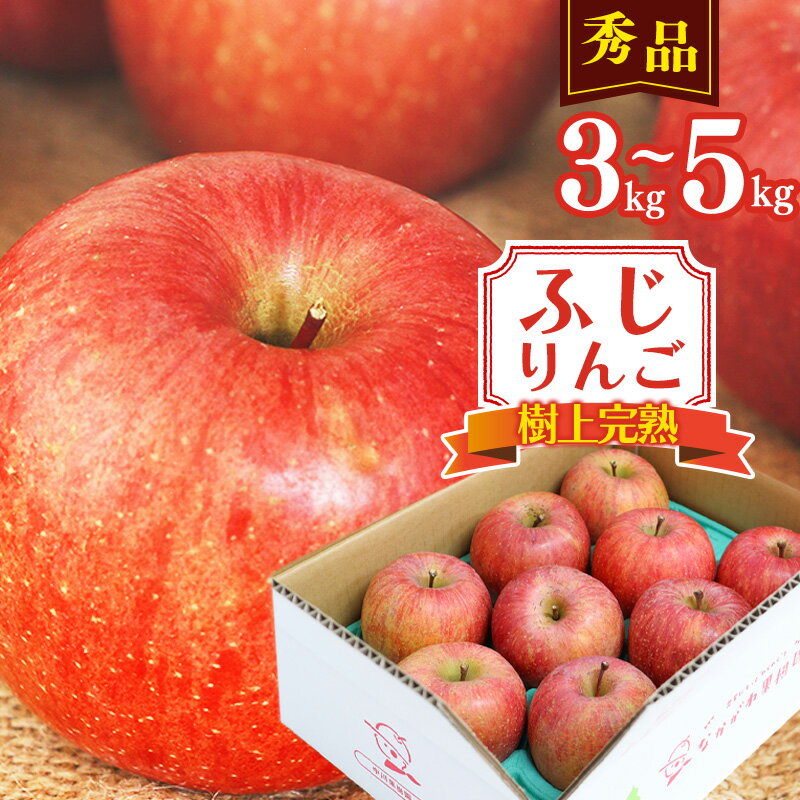 12位! 口コミ数「0件」評価「0」りんご 3kg 5kg 秀品 「ふじりんご」生産者直送 【2024年12月頃から発送予定】／ お取り寄せ ご当地 特産 産地直送 果物 フル･･･ 