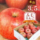 りんご 3kg 5kg 秀品 「ふじりんご」生産者直送 ／ お取り寄せ ご当地 特産 産地直送 果物 フルーツ 新鮮 季節 冬 林檎 デザート おやつ 東北 2024年産 令和6年産 山形県産 3キロ 5キロ ふるさと納税 りんご