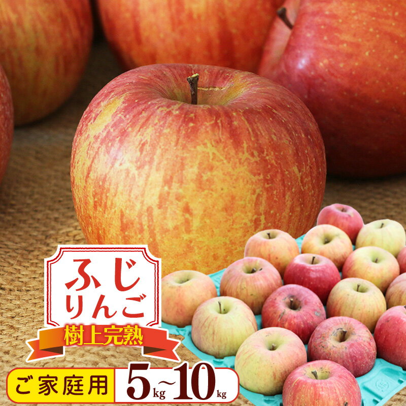 りんご 5kg 10kg 家庭用 「ふじりんご」生産者直送 [訳あり][2024年12月頃から発送予定] SDGs フードロス 不揃い 規格外 / お取り寄せ 特産 果物 フルーツ 冬 林檎 リンゴ デザート おやつ 東北 2024年産 令和6年産 山形県産 5キロ 10キロ 自宅用