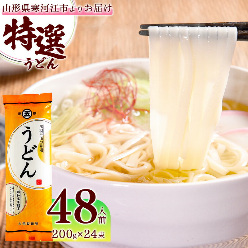 37位! 口コミ数「1件」評価「4」山形の「特選うどん」 48人前（200g×24袋） 大沼製麺所 ／ お取り寄せ 備蓄 小分け 個包装 常温 保存 便利 ご当地 グルメ 土産･･･ 