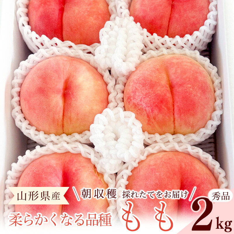 先行予約 令和8年産 山形の桃 やわやかくなる白桃 秀品 2kg 品種おまかせ 2026年産 山形県産[2026年8月上旬頃〜9月下旬頃発送予定]※配送不可 沖縄・離島 果物 フルーツ 果実 産地直送 新鮮 贈答 ギフト 特産