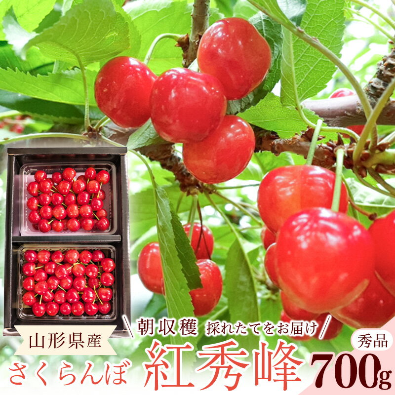 [先行予約]令和8年産 さくらんぼ 紅秀峰 Lサイズ以上 秀品 700g (350g×2パック) 2026産 山形県産 [2026年6月中旬頃〜7月中旬頃発送予定]※配送不可 沖縄・離島フルーツ 果物 果実 山形産 2026年産 令和8年 直送 お取り寄せ