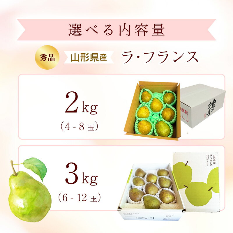 【ふるさと納税】＼選べる内容量／ 令和8年産 西洋梨 ラ・フランス 秀品 2kg - 3kg 山形県産【2026年10月下旬頃から12月中旬頃発送予定】 2026年産 果物 フルーツ 果実 産地直送 新鮮 贈答 ギフト 特産