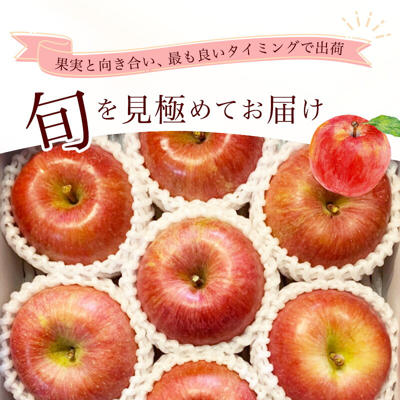 【ふるさと納税】＼選べる内容量／ 令和8年産 りんご ふじ 秀品 2kg - 3kg 山形県産【2026年10月下旬頃から12月中旬頃発送予定】 2026年産 果物 フルーツ 果実 産地直送 新鮮 贈答 ギフト 特産 f062065-sagae-10001548 山形県寒河江市 サンプル画像3