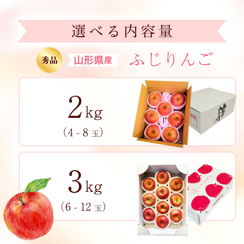 【ふるさと納税】＼選べる内容量／ 令和8年産 りんご ふじ 秀品 2kg - 3kg 山形県産【2026年10月下旬頃から12月中旬頃発送予定】 2026年産 果物 フルーツ 果実 産地直送 新鮮 贈答 ギフト 特産 f062065-sagae-10001548 山形県寒河江市 サンプル画像2