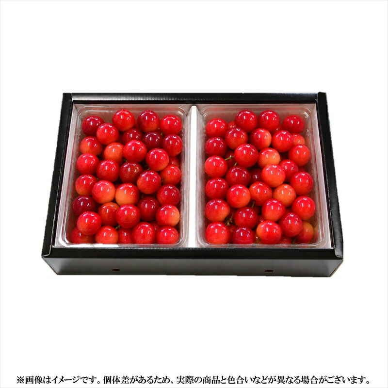 【ふるさと納税】 令和8年産 さくらんぼ 「紅秀峰」Lサイズ以上 秀品 1kg（500g×2...