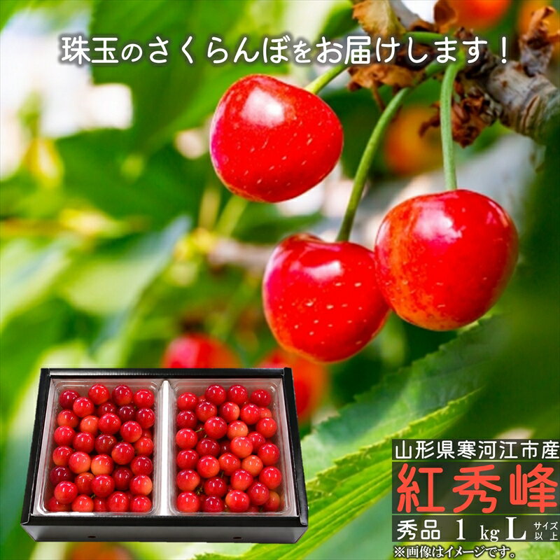 【ふるさと納税】 令和8年産 さくらんぼ 「紅秀峰」Lサイズ以上 秀品 1kg（500g×2...
