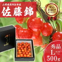 141位! 口コミ数「5件」評価「4.4」 さくらんぼ 「佐藤錦」Lサイズ以上 秀品 500g バラ詰め 山形県産 【2025年6月上旬頃〜下旬頃発送予定】/ お取り寄せ フルーツ 果物 果実 ご当地 特産 東北 道の駅 チェリーランド さが・・・
