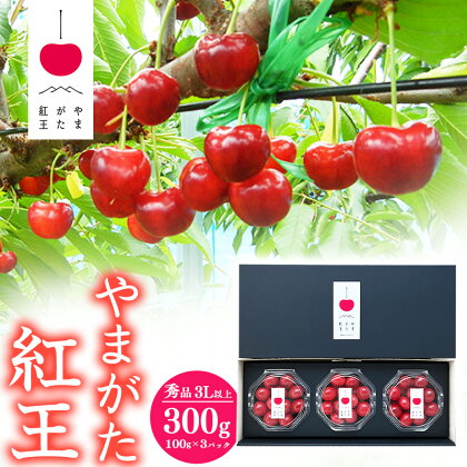 さくらんぼ 「やまがた紅王」秀品 3Lサイズ以上 300g（100g×3）《化粧箱入りダイヤパック》 山形産 【2024年6月下旬頃〜7月上旬頃発送予定】／ お取り寄せ フルーツ 果物 くだもの 果実 ご当地 特産 貴重 東北 2024年産 令和6年産 山形県産 300グラム