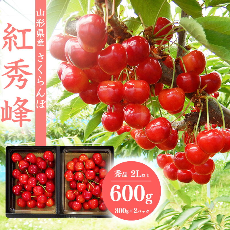 さくらんぼ 「紅秀峰」秀品 2Lサイズ以上 600g(300g×2) [化粧箱入り] 山形産 [2024年6月下旬頃〜7月上旬頃発送予定]/ お取り寄せ フルーツ 果物 くだもの 果実 ご当地 特産 東北 2024年産 令和6年産 300グラム 600グラム