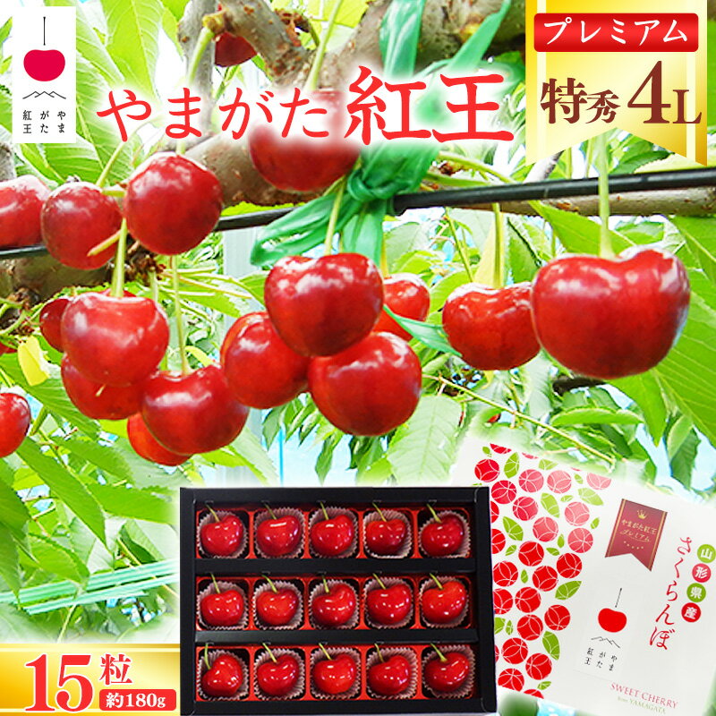 さくらんぼ 「 やまがた紅王 プレミアム 」特秀品 4L 15粒(約180g)[化粧箱入り] 山形産 [2024年6月下旬頃〜7月上旬頃発送予定]/ お取り寄せ フルーツ premium 果物 くだもの 果実 ご当地 特産 貴重 東北 2024年産 令和6年産 山形県産