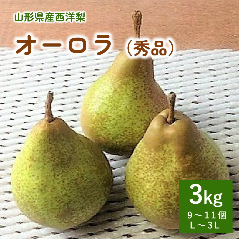 【ふるさと納税】西洋梨 ( オーロラ ) 3kg 9～11個 3L