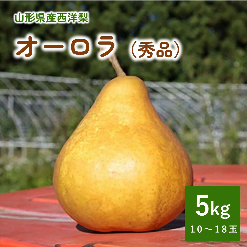 西洋梨 ( オーロラ ) 5kg 10〜18玉 秀品 山形県 上山市