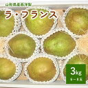 25位! 口コミ数「0件」評価「0」西洋梨 ( ラ・フランス ) 3kg 6～8玉 大玉 秀品 山形県 上山市 0011-2407