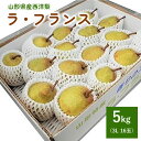 【ふるさと納税】 西洋梨 ( ラ・フランス ) 5kg 16玉 3L 秀品 贈答用 果物 フルーツ 洋なし 山形 産地直送 お取り寄せ 送料無料 山形県 上山市...