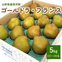 【ふるさと納税】西洋梨 ( ゴールドラ・フランス ) 5kg 12~16玉 特秀品 ラフランス 洋なし 洋梨 フルーツ くだもの 果物 産地直送 お取り寄せ 東北 山形県 上山市 0060-2516
