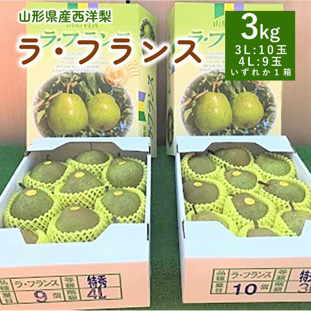 【ふるさと納税】西洋梨 （ ラ・フランス ） 3kg 特秀品 1箱 果物 フルーツ 洋梨 お取り寄せ 産地直送 送料無料 山形県 上山市 0089-2402