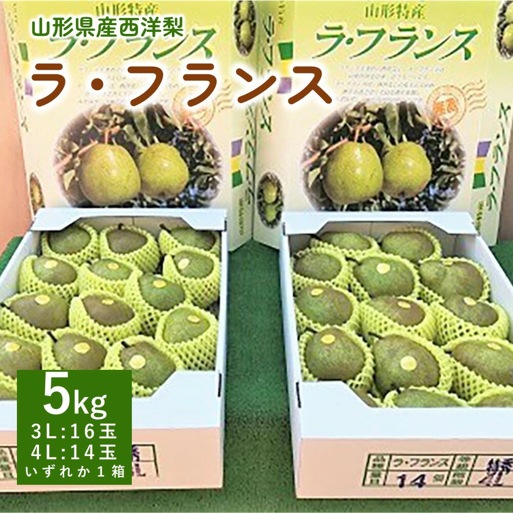 西洋梨 ラ・フランス 5kg 特秀品 1箱 果物 フルーツ 洋梨 お取り寄せ 産地直送 送料無料 山形県 上山市 0089-2404