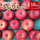 【ふるさと納税】りんご ( ふじりんご ) 10kg 無袋栽培 22~46玉 家庭用 ジュース用 果物 フルーツ お取り寄せ 産地直送 送料無料 山形県 上山市 0007-2503