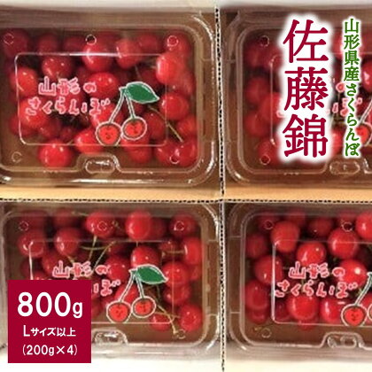 さくらんぼ 佐藤錦 800g （ 200g × 4パック ） Lサイズ以上 山形県 上山市 0007-2401