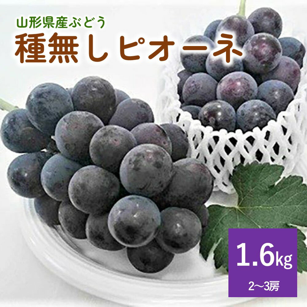 【ふるさと納税】ぶどう ピオーネ 1.6kg 果物 フルーツ
