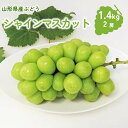 【ふるさと納税】 ぶどう ( シャインマスカット ) 1.4kg 2房 大粒 ブドウ 葡萄 フルーツ くだもの 果物 産地直送 お取り寄せ グルメ 東北 山形県 上山市 0009-2507
