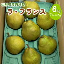 【ふるさと納税】 西洋梨 ラ・フランス 6kg 大玉 ご家庭用 3kg × 2箱 果物 フルーツ 洋なし お取り寄せ 山形 産地直送 送料無料 山形県 上山市 0009-2512