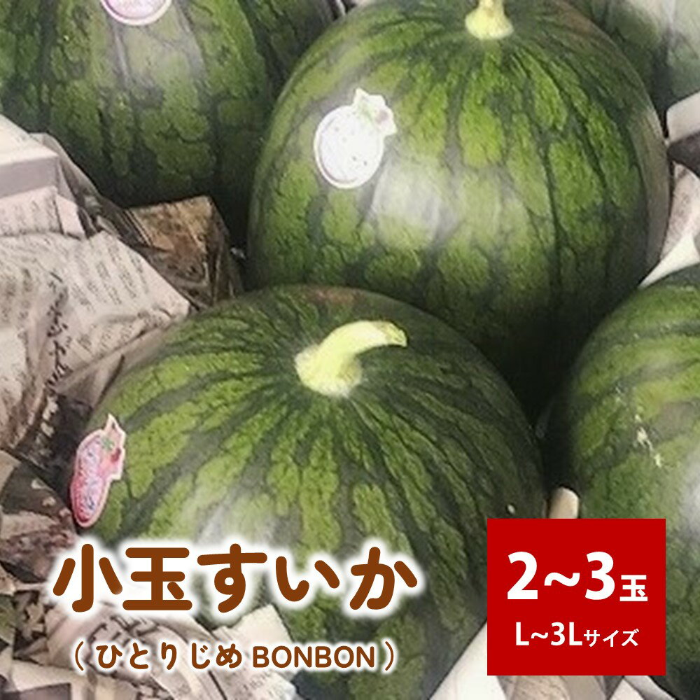 【ふるさと納税】小玉 すいか ( ひとりじめ BONBON ) 2〜3玉 L～3L サイズ 山形県 上山市 0011-2402