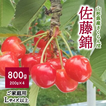 さくらんぼ 佐藤錦 800g ( 200g × 4パック ) フードパック入り Lサイズ 以上 ご家庭用 山形県 上山市 0011-2401