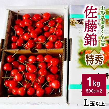 さくらんぼ 佐藤錦 1kg 500g × 2パック 特秀品 L玉以上 バラ詰め 化粧箱入り 山形県 上山市 0012-2404