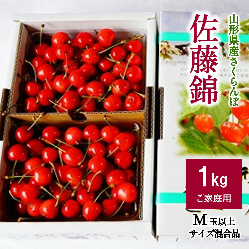 さくらんぼ 佐藤錦 1kg ( 500g × 2パック ) M玉以上 ご家庭用 バラ詰め フルーツ 果物 くだもの お取り寄せ 東北 山形県 上山市