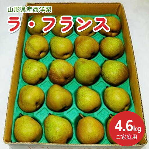 【ふるさと納税】 ラ・フランス 4.6kg 20玉 M・Lサイズ混合 ご家庭用 果物 フルーツ 洋なし お取り寄せ 山形 産地直送 送料無料 山形県 上山市 0012-2514 【ふるさと納税】 ラ・フランス 4.6kg 20玉 M・Lサイズ混合 ご家庭用 果物 フルーツ 洋なし お取り寄せ 山形 産地直送 送料無料 山形県 上山市 0012-2514