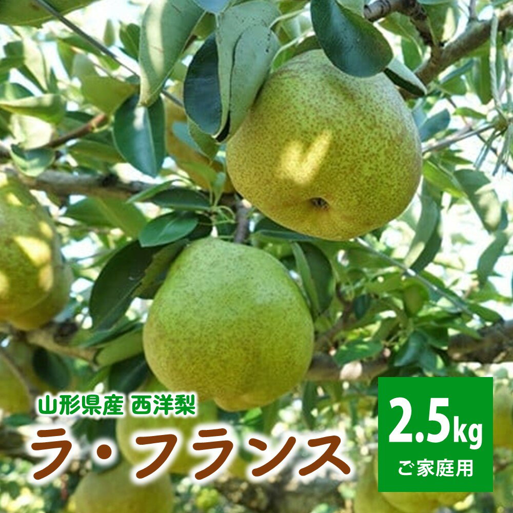 【ふるさと納税】 西洋梨 (ラ・フランス ) 2.5kg ご家庭用 果物 フルーツ 洋なし お取り寄