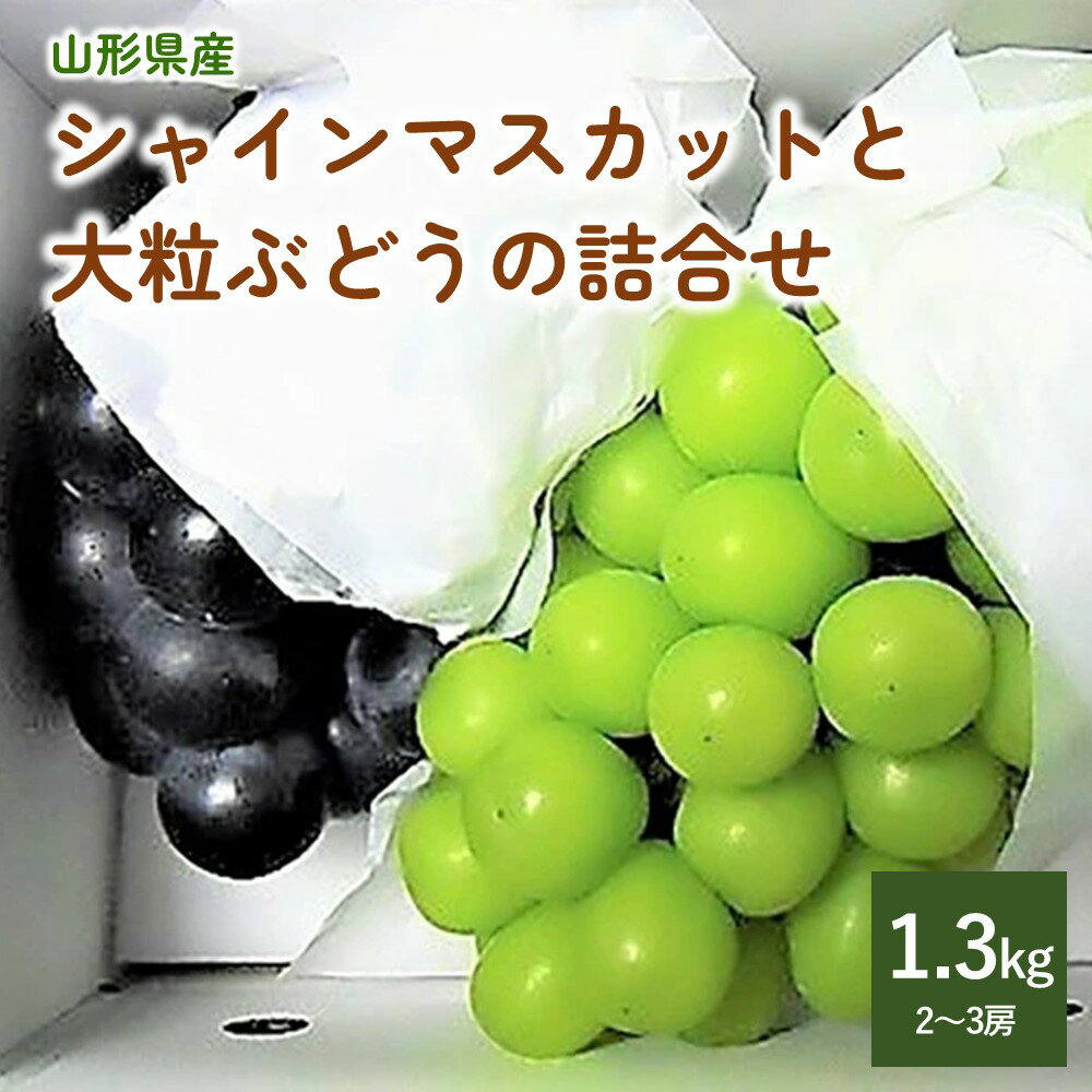 シャインマスカット と 大粒 ぶどう の 詰合せ ( 品種おまかせ ) 1.3kg マスカット 葡萄 ブドウ 果物 フルーツ お取り寄せ 送料無料 東北 山形上山市