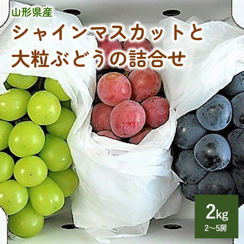 【ふるさと納税】シャインマスカット と 大粒 ぶどう の 詰合せ（ 品種おまかせ ） 秀品 2kg マスカット 葡萄 ブドウ フルーツ 東北 山形 上山市 0017-2410