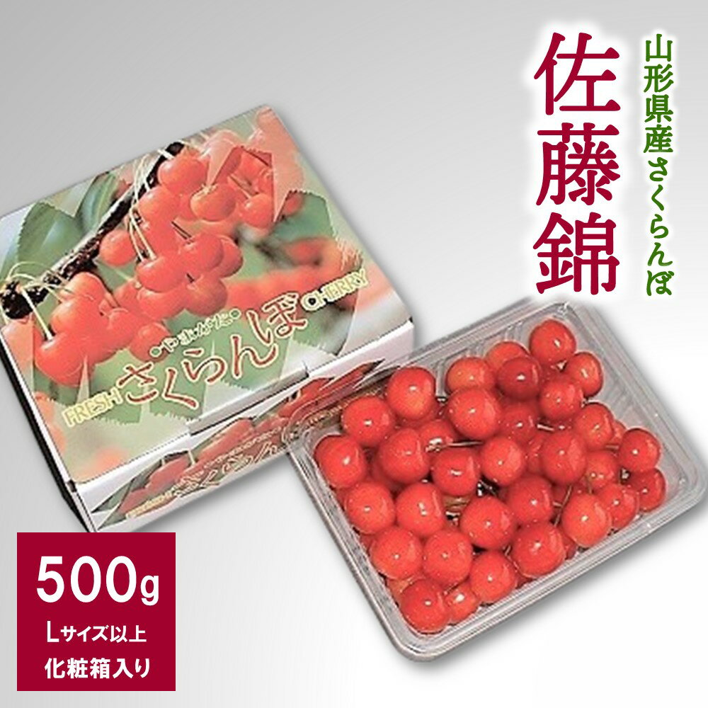 さくらんぼ 佐藤錦 500g Lサイズ以上 化粧箱入り 山形県 上山市 0017-2401