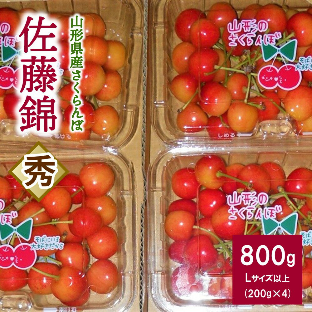 さくらんぼ 佐藤錦 800g （ 200g × 4パック ） バラ詰め Lサイズ以上 秀品 山形県 上山市 0017-2402