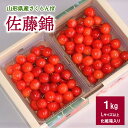 【ふるさと納税】 さくらんぼ 佐藤錦 1kg Lサイズ以上 化粧箱入り 山形県 上山市 0017-2403