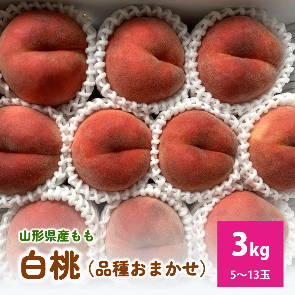 【ふるさと納税】白桃（ 品種 おまかせ ）3kg 5～13玉