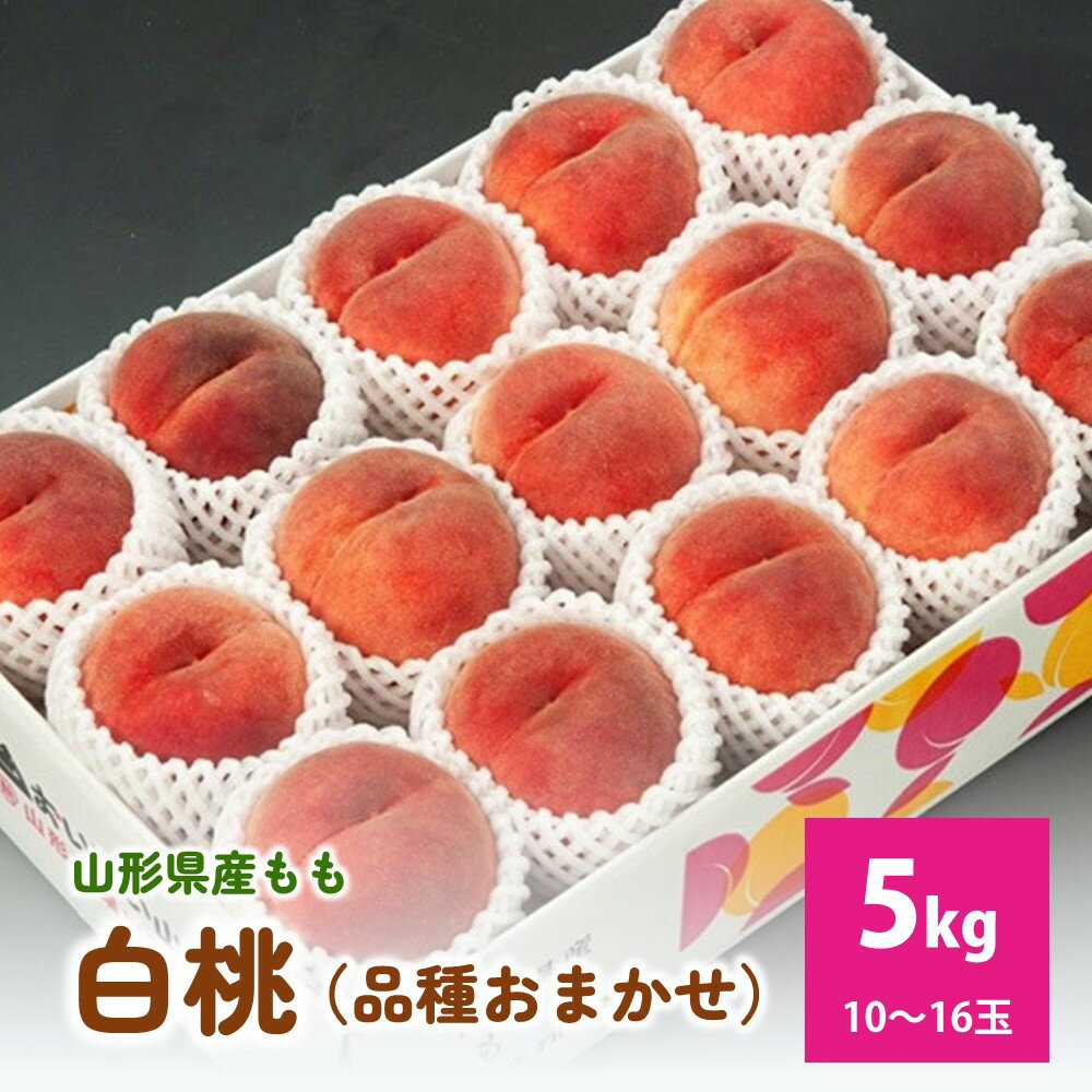 【ふるさと納税】白桃( 品種 おまかせ )5kg 秀品 フルーツ 果物 桃 もも 山形 産地直送 お取り寄せ 送料無料 山形県 上山市 0020-2502