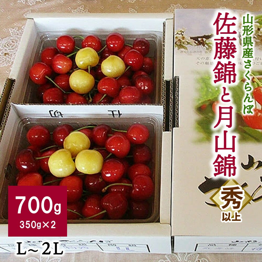 【ふるさと納税】さくらんぼ 700g （ 佐藤錦 ・ 月山錦 6粒 ） 秀品 以上 L～2Lサイズ（ 350g × 2パック ）フルーツ 果物 産地直送 お取り寄せグルメ 冷蔵配送 東北 山形県 上山市 0025-2403