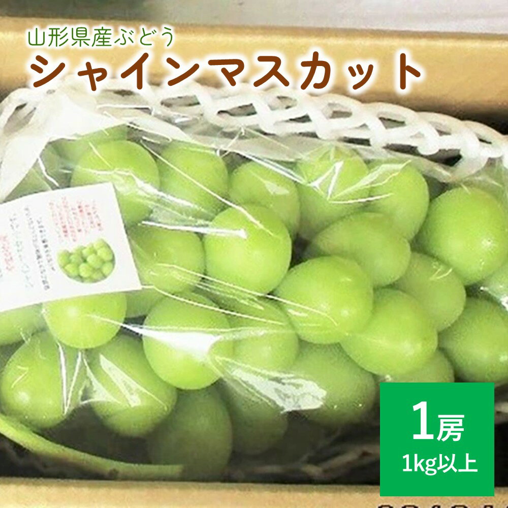 ぶどう シャインマスカット 1房 ( 1kg 以上) 秀品 以上 果物 フルーツ お取り寄せ 産地直送 送料無料 山形県 上山市