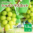【ふるさと納税】ぶどう(シャインマスカット)1.5kg ご家庭用 山形県 上山市 0025-2510(4)